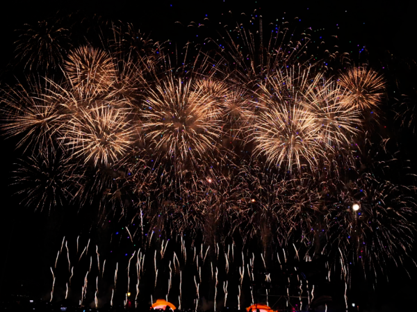 ��������Բ����ɡ���̤����ҫ��β��2026��Ʒ��������̻�ʢ�ᰲ������